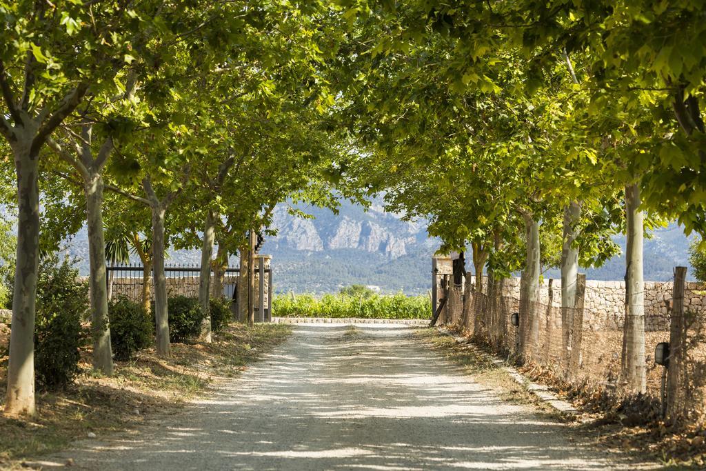 Agroturisme Sa Torre (Adults Only) Santa Eugenia Luaran gambar